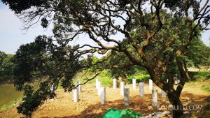 High quality pylon stumps for the modular home.